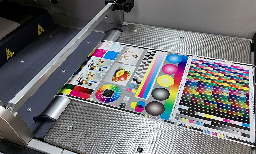 Testing of printing process
